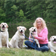 Illustration for article titled Attributes of an Emotional Support Animal